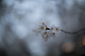 03_TGC3654.jpg