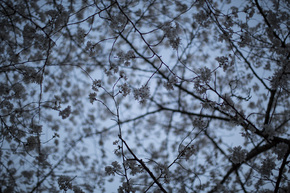 04_TGC3653.jpg