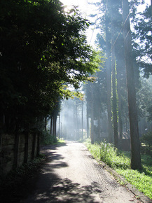 IMG_5374.jpg